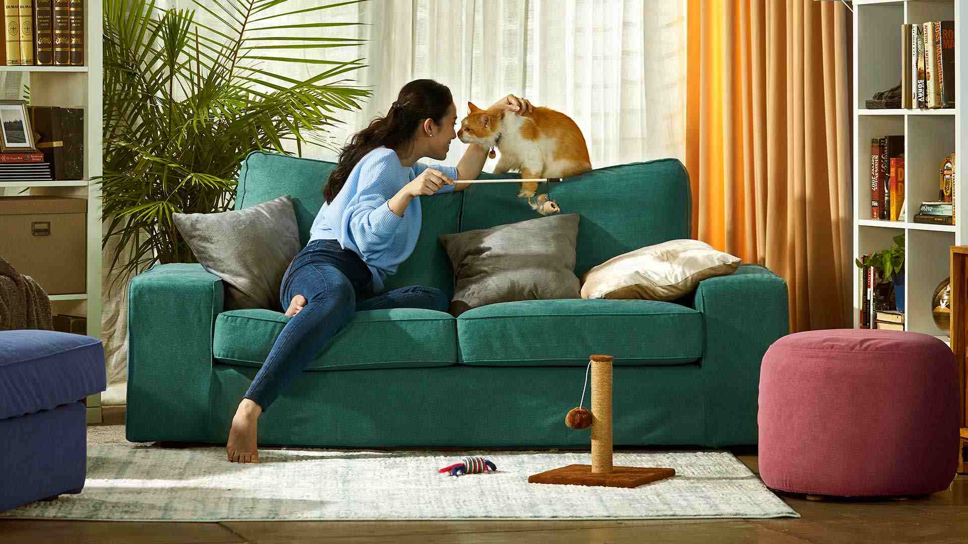 Best Sofa Fabric For Cats And Dogs