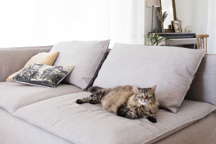 weighted sofa covers