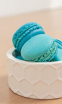 Teal Macarons Inspiration Madison Teal Cotton Blends Couch Slipcover Portrait