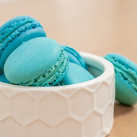 Teal Macarons Inspiration Madison Teal Cotton Blends Couch Slipcover