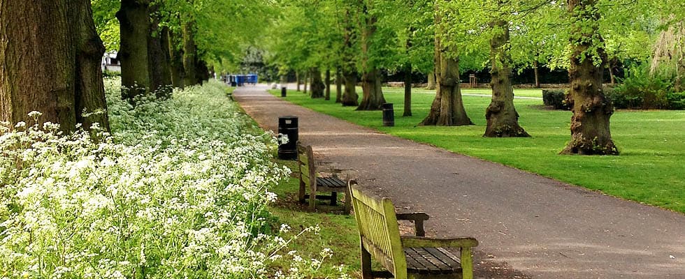 Serenity in parks