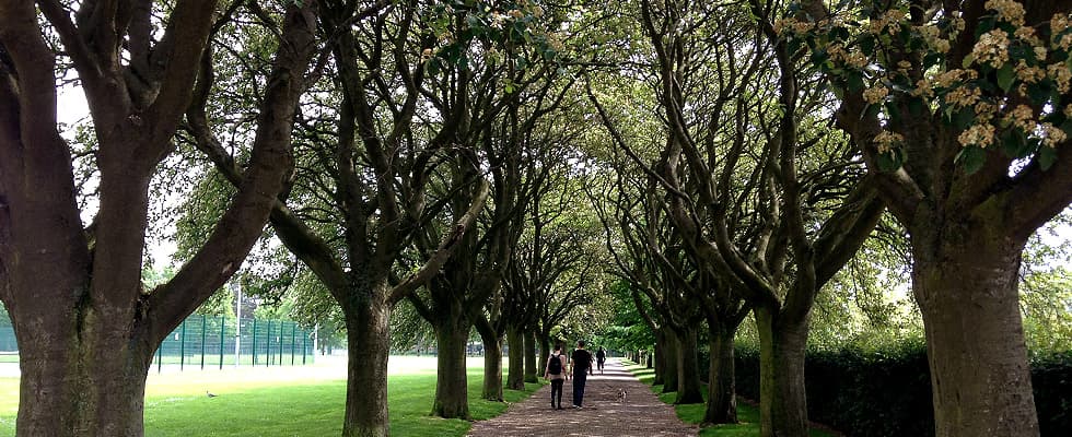 Peaceful walk