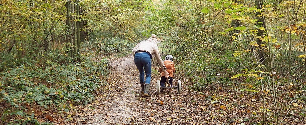 Playing with Lupe in the forest