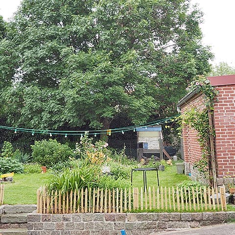Our backyard